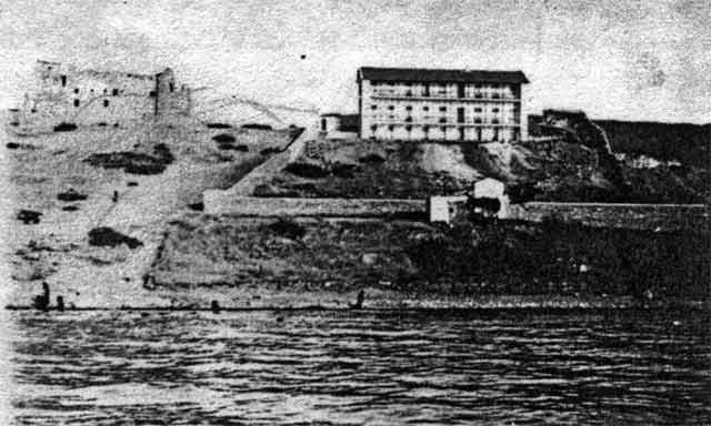 Oasis 1908