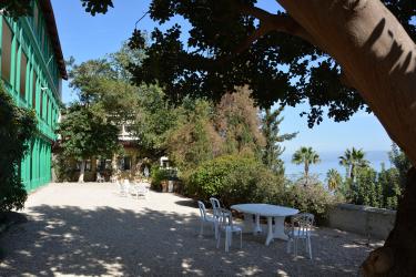 Oasis : Terrasse